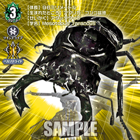 Cardfight Vanguard All Standard Format Decks — option 198