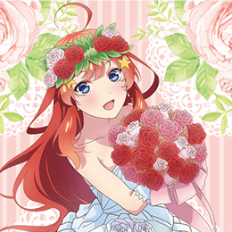 Cardfight Vanguard All Standard Format Decks — option 205