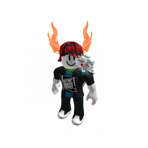 Ranking Foxboy12 Fans!!! :D — option 24