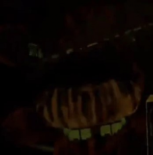 123phantomfreddyhw — ALL FNAF JUMPSCARES (FNaF 1 - SotM) option 123