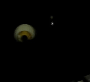 155shadowmanglehw — ALL FNAF JUMPSCARES (FNaF 1 - SotM) option 155
