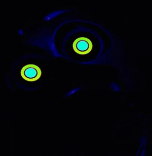 157repairneonchicahw — ALL FNAF JUMPSCARES (FNaF 1 - SotM) option 157