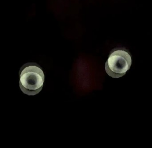 159darkspringtraphw — ALL FNAF JUMPSCARES (FNaF 1 - SotM) option 159
