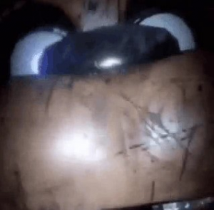 213fireworkfreddysd — ALL FNAF JUMPSCARES (FNaF 1 - SotM) option 213