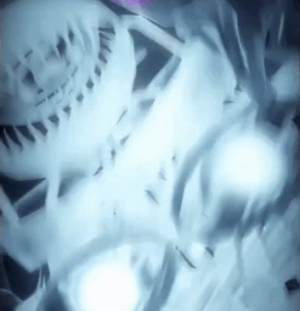 227arcticballorasd — ALL FNAF JUMPSCARES (FNaF 1 - SotM) option 227