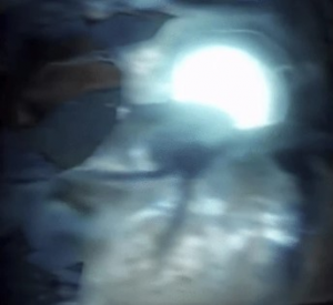 243greatescapegoldenfreddysd — ALL FNAF JUMPSCARES (FNaF 1 - SotM) option 243