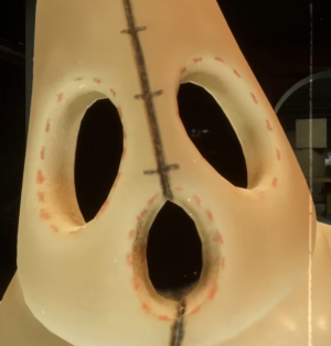 427shroomprototypesotm — ALL FNAF JUMPSCARES (FNaF 1 - SotM) option 427