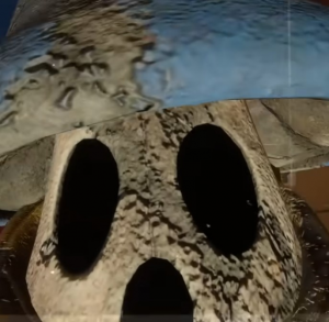 429oldshroombluesotm — ALL FNAF JUMPSCARES (FNaF 1 - SotM) option 429