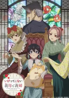 Summer 2026 Anime Releases — option 50
