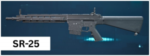 Zzzzz 1784253007sr 25 Tile — Delta Force Operations S10 Weapons Tier List option 40