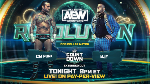 Cmpunkmjf — WWE Universe Wrestling Match Tierlist option 1