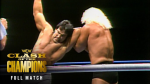 Image2026 07 20222959385 — WWE Universe Wrestling Match Tierlist option 4