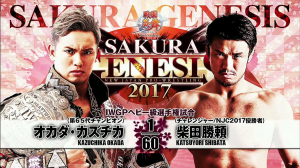 Zzzzz 1785013985shibataokada — WWE Universe Wrestling Match Tierlist option 9