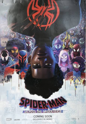 Sv2 — Spiderman Related Movies option 11
