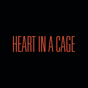 Heart In A Cage — Every Single The Strokes Song option 26
