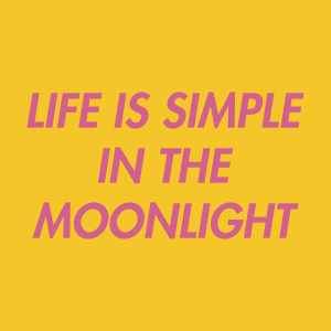 Life Is Simple In The Moonlight — Every Single The Strokes Song option 47