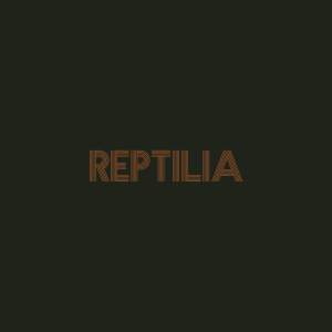 Reptilia — Every Single The Strokes Song option 14