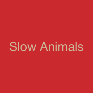 Slow Animals — Every Single The Strokes Song option 54