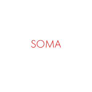 Soma — Every Single The Strokes Song option 2