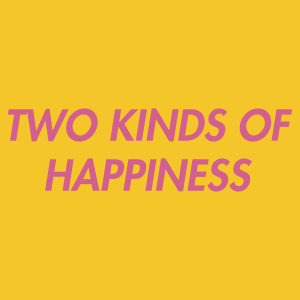 Two Kinds Of Happiness — Every Single The Strokes Song option 40