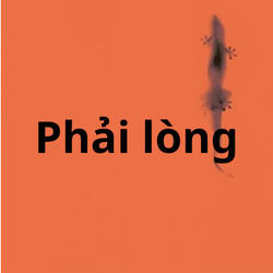 Nhạc ngọt & Thắng để đời (tất cả) — option 41