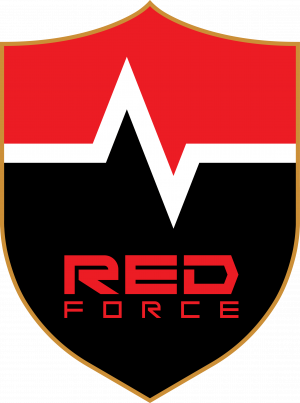 Logo Ns Redforce — Valorant Champions 2026 Shanghai option 5