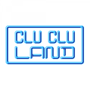 Clu Clu Land — All Nintendo Franchises (2026) option 17