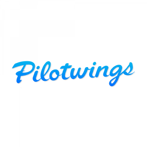 Pilotwings — All Nintendo Franchises (2026) option 80