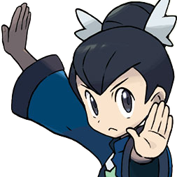 23g Levy — Every important Pokemon Trainers option 81