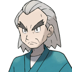 92 Fargas — Every important Pokemon Trainers option 313
