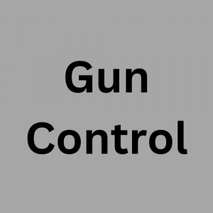 Political Stances — option 12