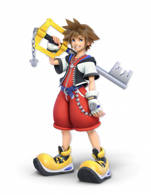 Zzzzz 1788192001ultimate Sora — Every Platfighter Character option 982