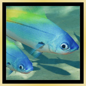 Blungold — Planet Zoo 2 Animals option 132