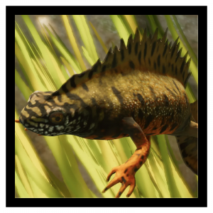 Danubenewt — Planet Zoo 2 Animals option 33