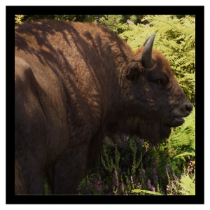 Eurobison — Planet Zoo 2 Animals option 42
