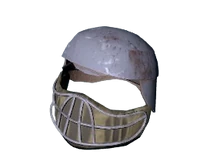 Ehelmet — Roblox The Depths Of Reality items option 79