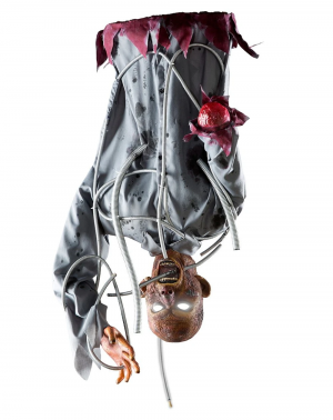 01296748 B 1 — Spirit Halloween 2017 Animatronics option 17