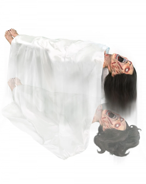 01340405 B — Spirit Halloween 2017 Animatronics option 18
