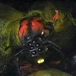 Alzarian Spider — Doctor Who Monsters/Aliens/Villains option 232