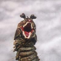 Drrashigs — Doctor Who Monsters/Aliens/Villains option 129