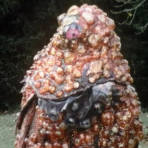 Gell Guards — Doctor Who Monsters/Aliens/Villains option 126
