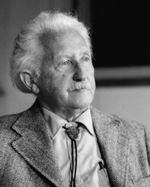 Zzzzz 1725473366erik Erikson — World Thinkers (Theoreticeans, Writers, Poets, etc) option 31