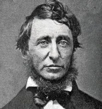 Zzzzz 1741622515henry David Thoreau — World Thinkers (Theoreticeans, Writers, Poets, etc) option 359