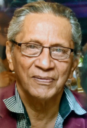 Zzzzz 1774225119ravindra Laxman Thatte — World Thinkers (Theoreticeans, Writers, Poets, etc) option 558