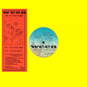 Img5590 — The ULTIMATE ween/ween adjacent discography option 25