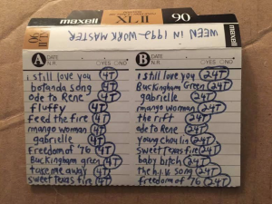 Img5621 — The ULTIMATE ween/ween adjacent discography option 55
