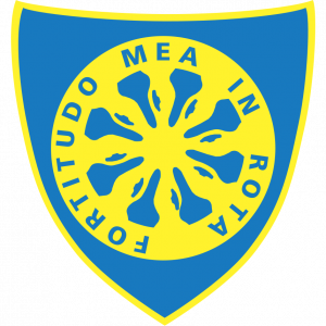 Zzzzz 1759983495carrarese — Football/Soccer Clubs Around the World option 155