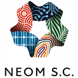 Zzzzz 1759984133neom — Football/Soccer Clubs Around the World option 499
