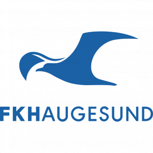 Zzzzz 1759987074haugesund — Football/Soccer Clubs Around the World option 597