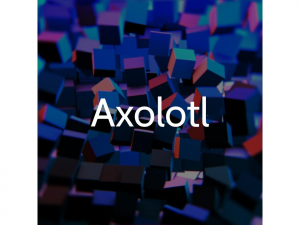 Axolotl — Minecraft soundtrack (from 1.0 to 1.21) option 65